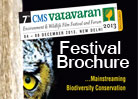 Festival Brochure